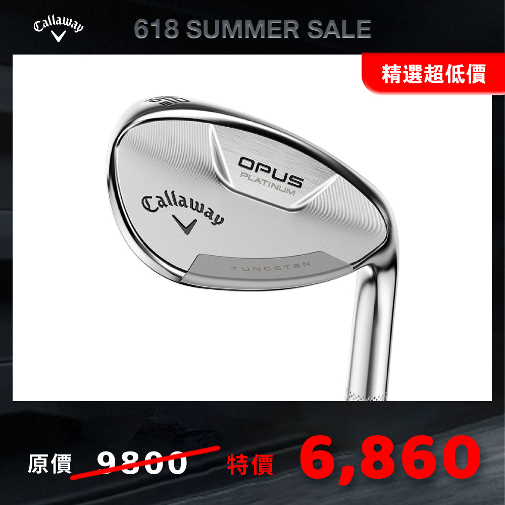 OPUS PLATINUM 挖起桿 (銀)