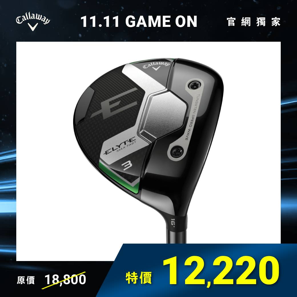 ELYTE MAX FAST  球道木桿