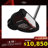 AI-DUAL 2BALL DB 推桿