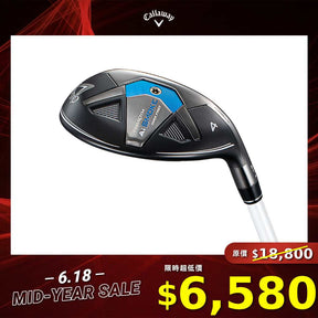 PARADYM Ai SMOKE MAX FAST 女仕 鐵木桿