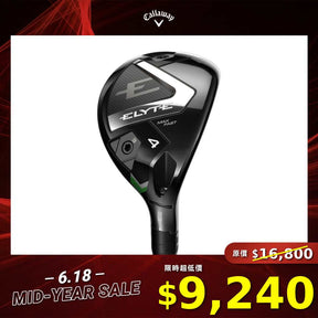 ELYTE MAX FAST 女仕 鐵木桿