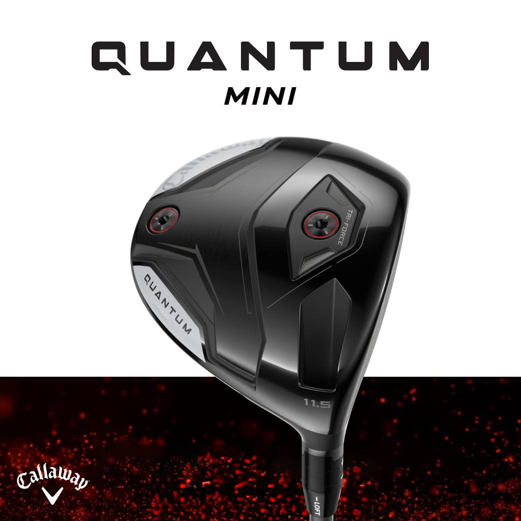 QUANTUM MINI 發球木桿