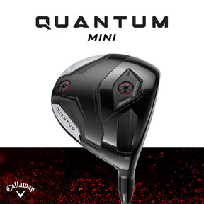 QUANTUM MINI 發球木桿