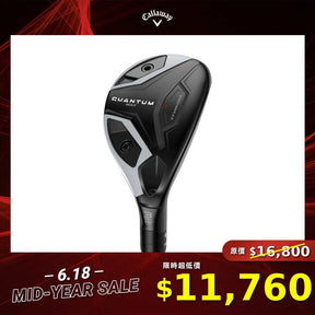 QUANTUM MAX 鐵木桿
