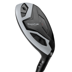 QUANTUM MAX FAST 鐵木桿