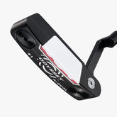 AI-DUAL #1 CH 推桿